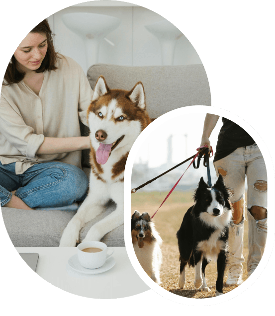 Pet Sitter avec chien